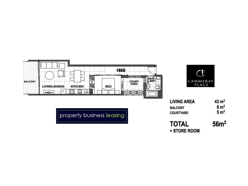 53 Palmer Street, Cammeray NSW 2062