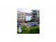 3 Yara Ave, Rozelle NSW 2039