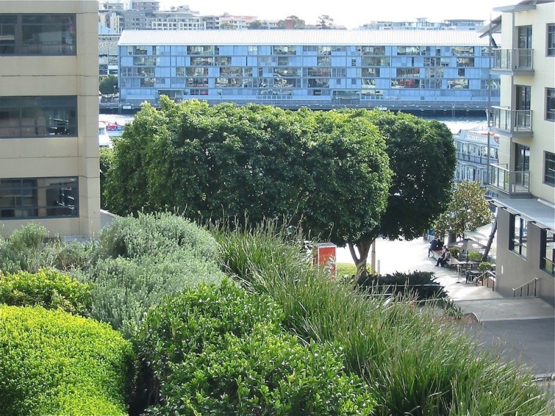 410205931 – 23 Shelley Street, King Street Wharf, Darling Harbour NSW 2000