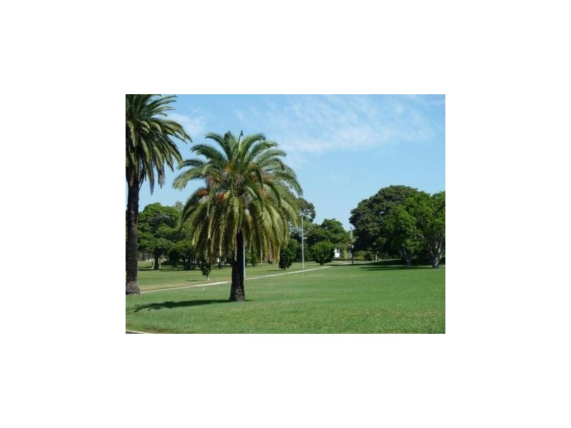 96A Ingham Avenue, Five Dock NSW 2046