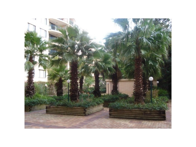 99/122 Saunders Street, Pyrmont NSW 2009