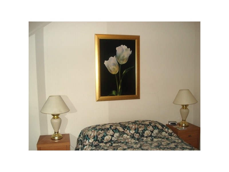 Excelsior – 242 Elizabeth Street, Surry Hills NSW 2010