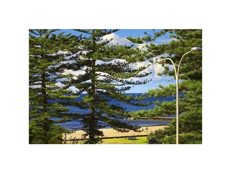 1073 Pittwater Road, Collaroy NSW 2097