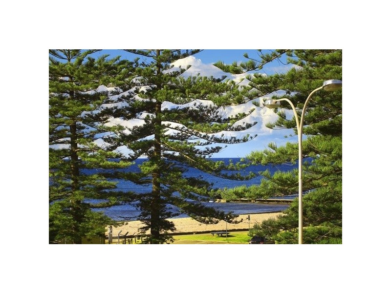 5932571 – 1073 Pittwater Road, Collaroy NSW 2097