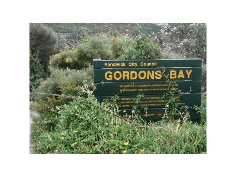 4-6 Major Street, Coogee NSW 2034