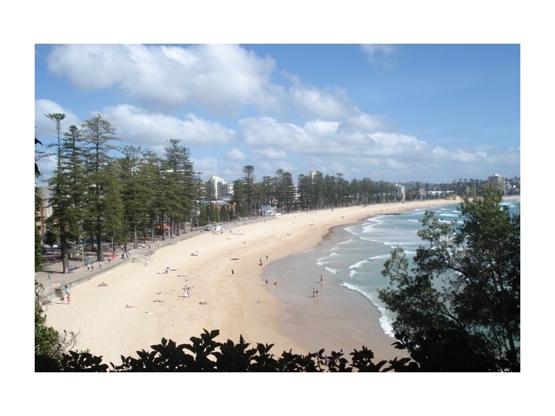 6055488/129 Bower St, Manly NSW 2095