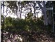 Karragarra Island QLD 4184