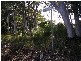 Karragarra Island QLD 4184