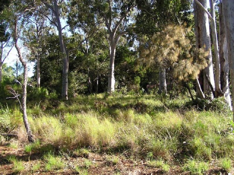 Karragarra Island QLD 4184