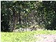 1 Con Street, Macleay Island QLD 4184