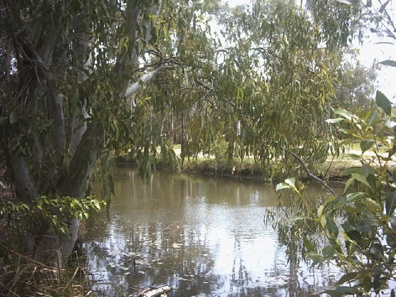 60 Coondooroopa Drive, Macleay Island QLD 4184