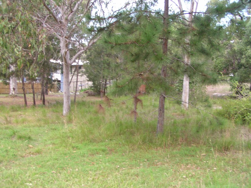 26 Warama Street, Macleay Island QLD 4184