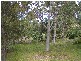 26 Warama Street, Macleay Island QLD 4184
