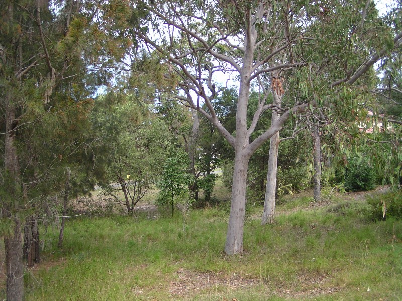 26 Warama Street, Macleay Island QLD 4184