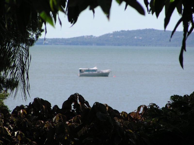 28 Curlew Street, Macleay Island QLD 4184