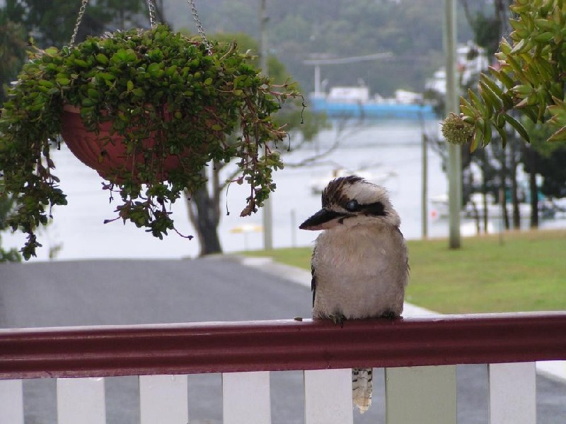 12 Bertram Road, Macleay Island QLD 4184