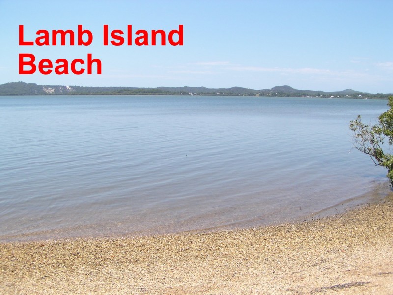17 Halcyon Street, Lamb Island QLD 4184