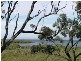 Karragarra Island QLD 4184