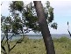 Karragarra Island QLD 4184