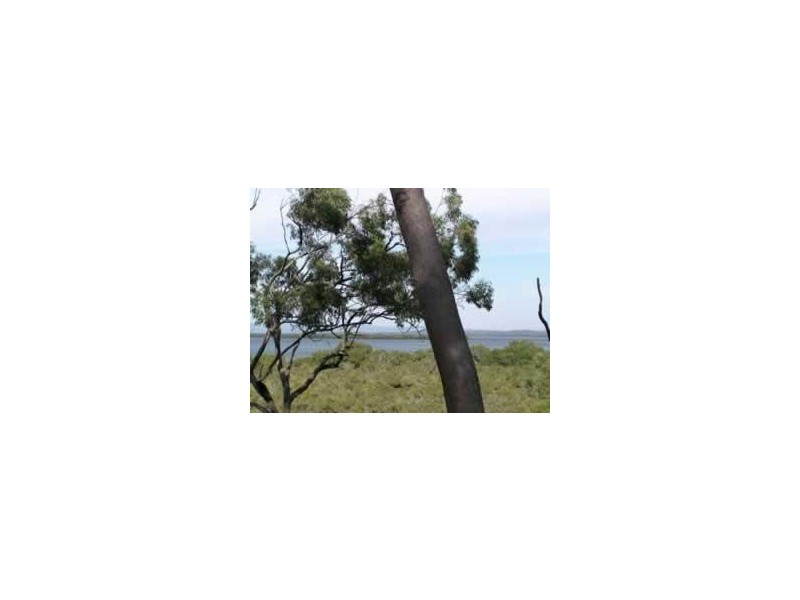 Karragarra Island QLD 4184