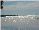 173 Kate Street, Macleay Island QLD 4184