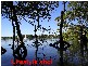 34 Crest Haven, Lamb Island QLD 4184