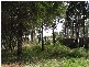 28 Aruma Street, Macleay Island QLD 4184