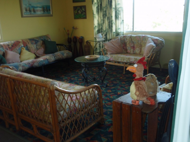 17 Coorong Street, Macleay Island QLD 4184