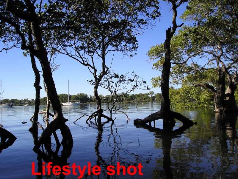 37 Nectar Street, Lamb Island QLD 4184