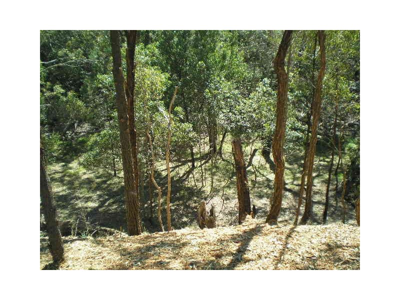 13 Beelong Street, Macleay Island QLD 4184