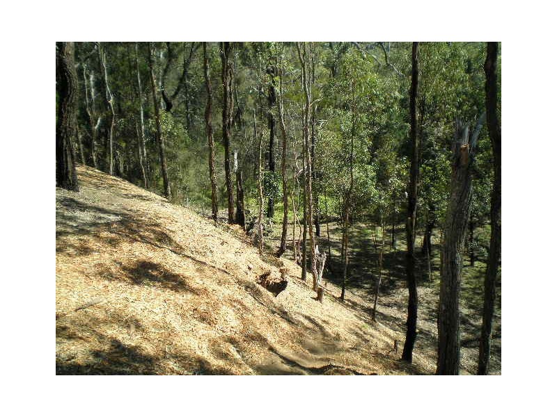 13 Beelong Street, Macleay Island QLD 4184