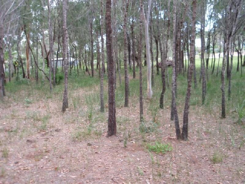 20 Cathy Street, Macleay Island QLD 4184