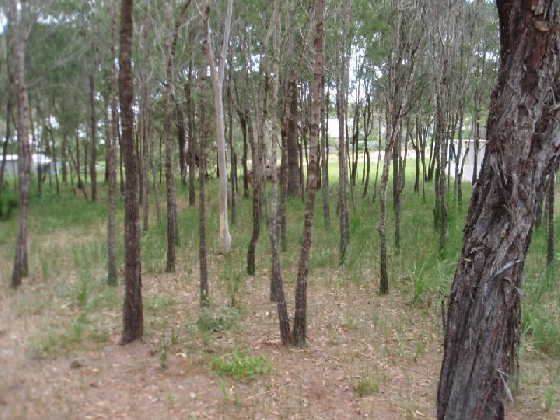 20 Cathy Street, Macleay Island QLD 4184