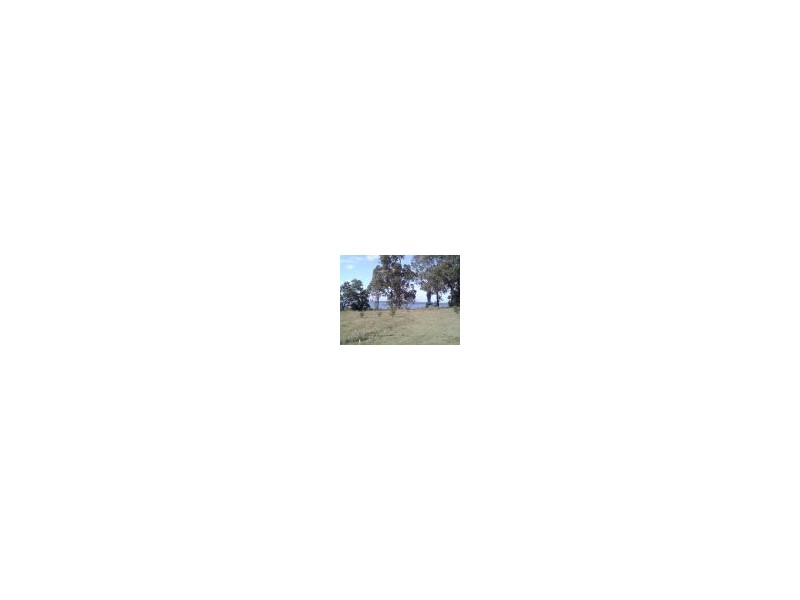14 Betty Street, Macleay Island QLD 4184