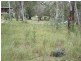 32 Morwong, Macleay Island QLD 4184