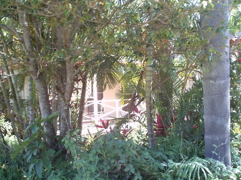 8 Michael Street, Lamb Island QLD 4184