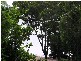 19 Dalpura Street, Macleay Island QLD 4184