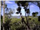 1 Blue Bay Crescent, Macleay Island QLD 4184