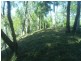 1 Blue Bay Crescent, Macleay Island QLD 4184