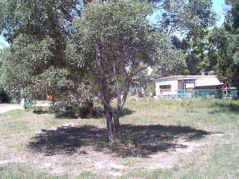 14 Calm Waters Court, Perulpa Island QLD 4184