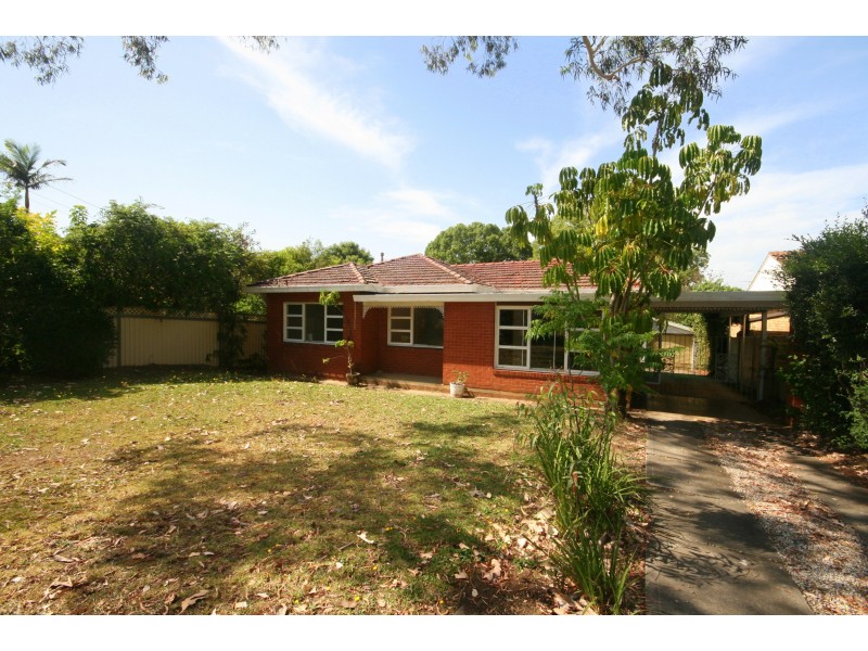 17 Napier Street, Parramatta NSW 2150