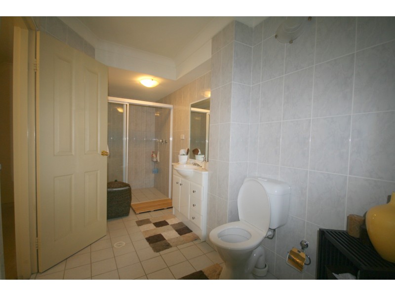 29 Harold Street, North Parramatta NSW 2151