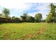 55 Felton Road, Carlingford NSW 2118