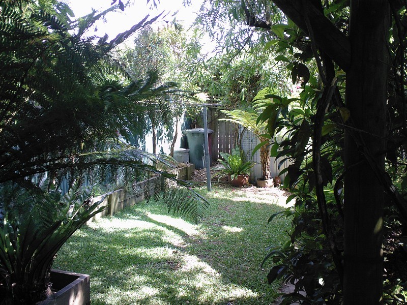 41 Goodsell Street, St Peters NSW 2044