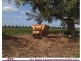 1 Old Kurrajong Rd, Richmond NSW 2753