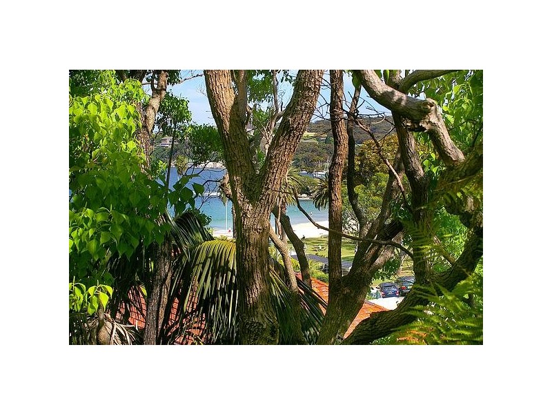 3/19 Edwards Bay Road, Mosman NSW 2088