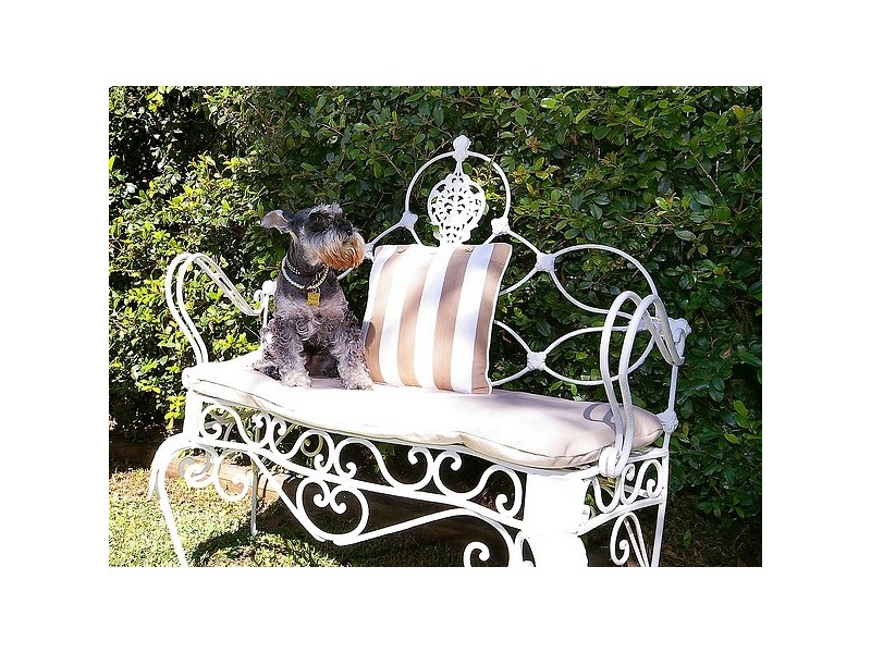 108 Cowles Road, Mosman NSW 2088