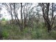 Wentworth Falls NSW 2782