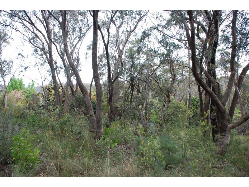 Wentworth Falls NSW 2782
