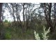 Wentworth Falls NSW 2782